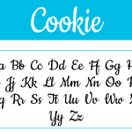 Cookie