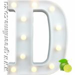 LED Letter Lights D