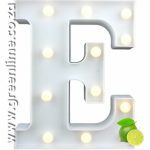 LED Letter Lights E