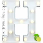 LED Letter Lights H