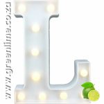 LED Letter Lights L