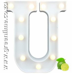 LED Letter Lights U