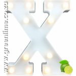 LED Letter Lights X