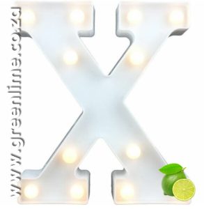 LED Letter Lights X