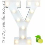 LED Letter Lights Y
