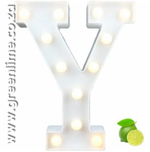 LED Letter Lights Y